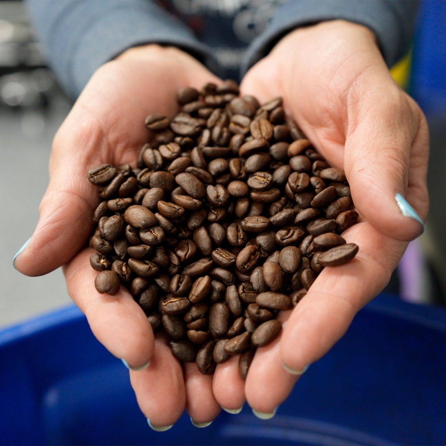 Dark Roast - Washed