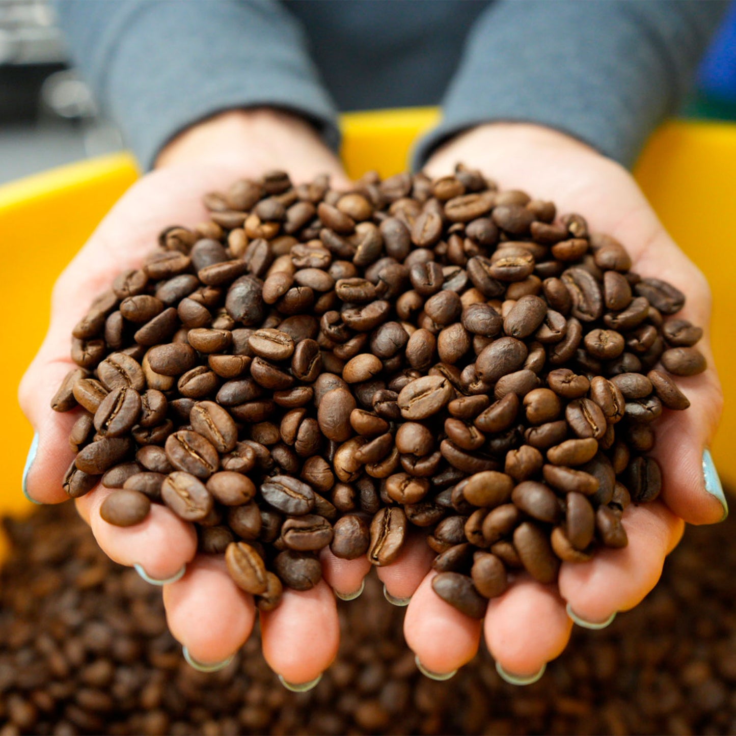 Medium Light Roast - FDA - Natural